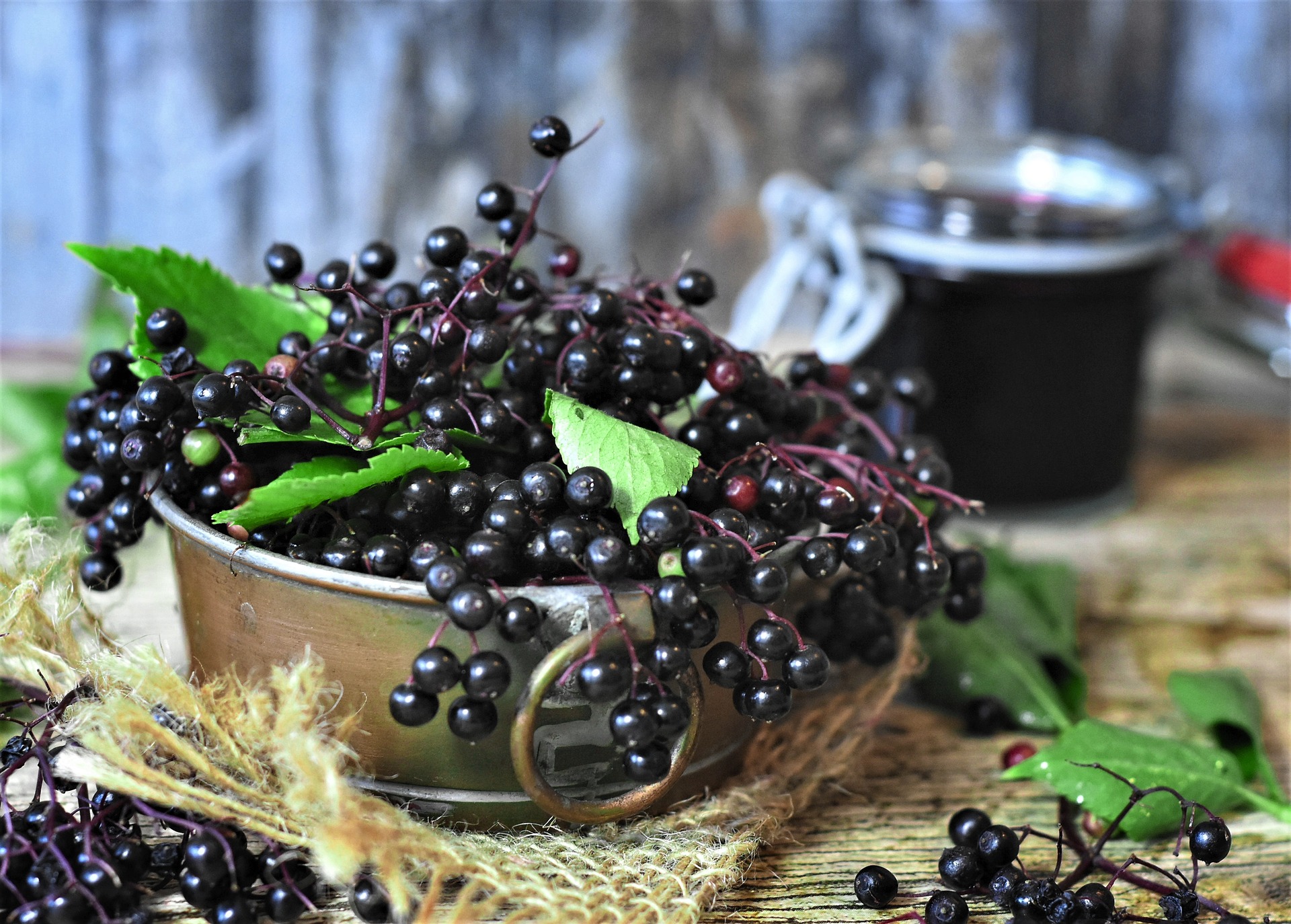 Elderberries